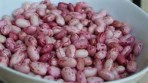 Cranberry Beans